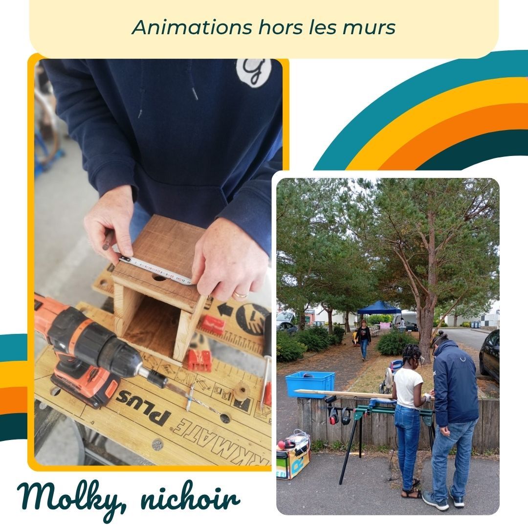 Animations hors les murs : molky, nichoir